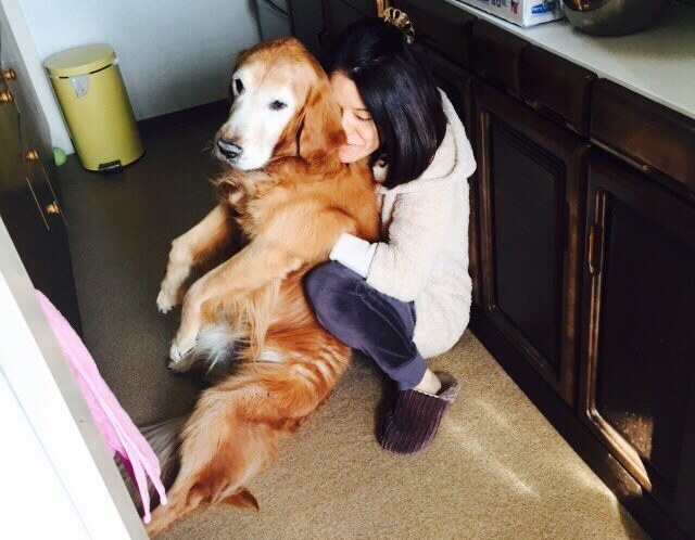 レトリーバー,コミュニケーション