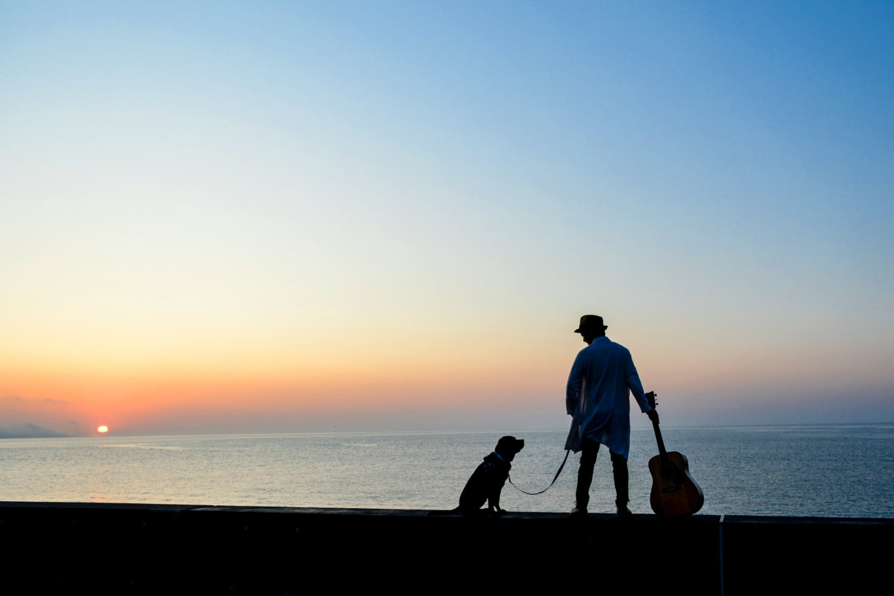 レトリーバー,ウルフギャング