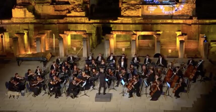 ラブラドールレトリーバー,動画