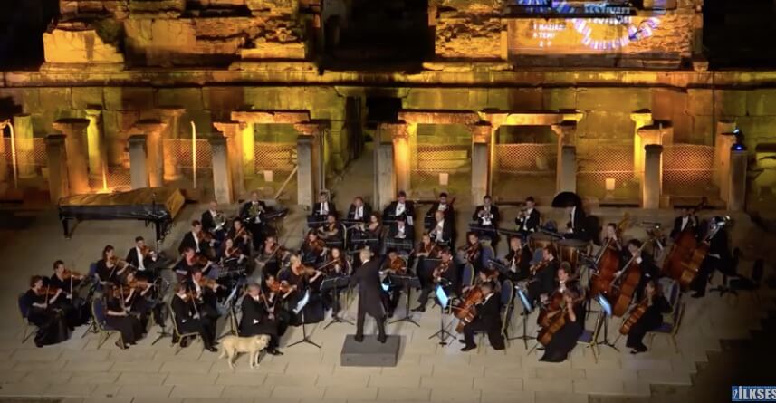 ラブラドールレトリーバー,動画