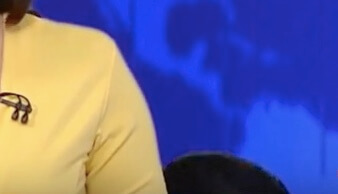 ラブラドールレトリーバー,動画