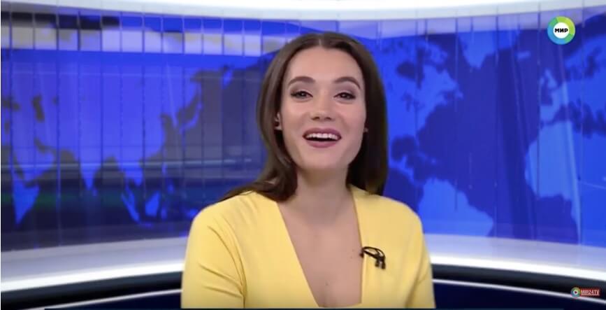 ラブラドールレトリーバー,動画