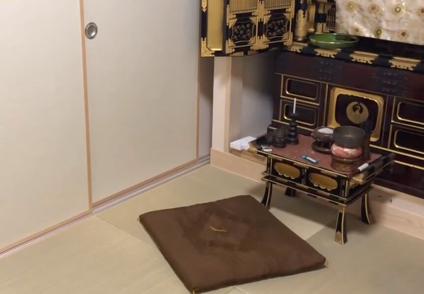 ゴールデンレトリーバー,動画