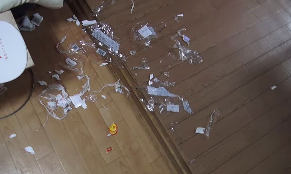 ゴールデンレトリーバー,動画