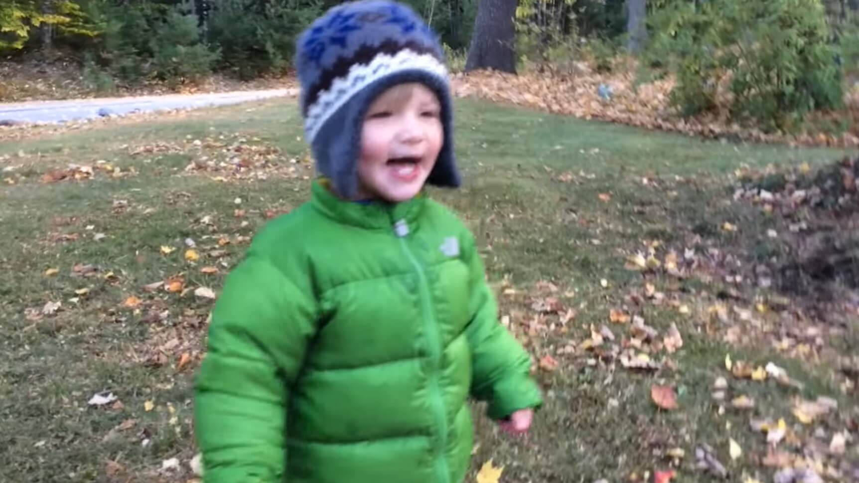 ラブラドールレトリーバー,動画