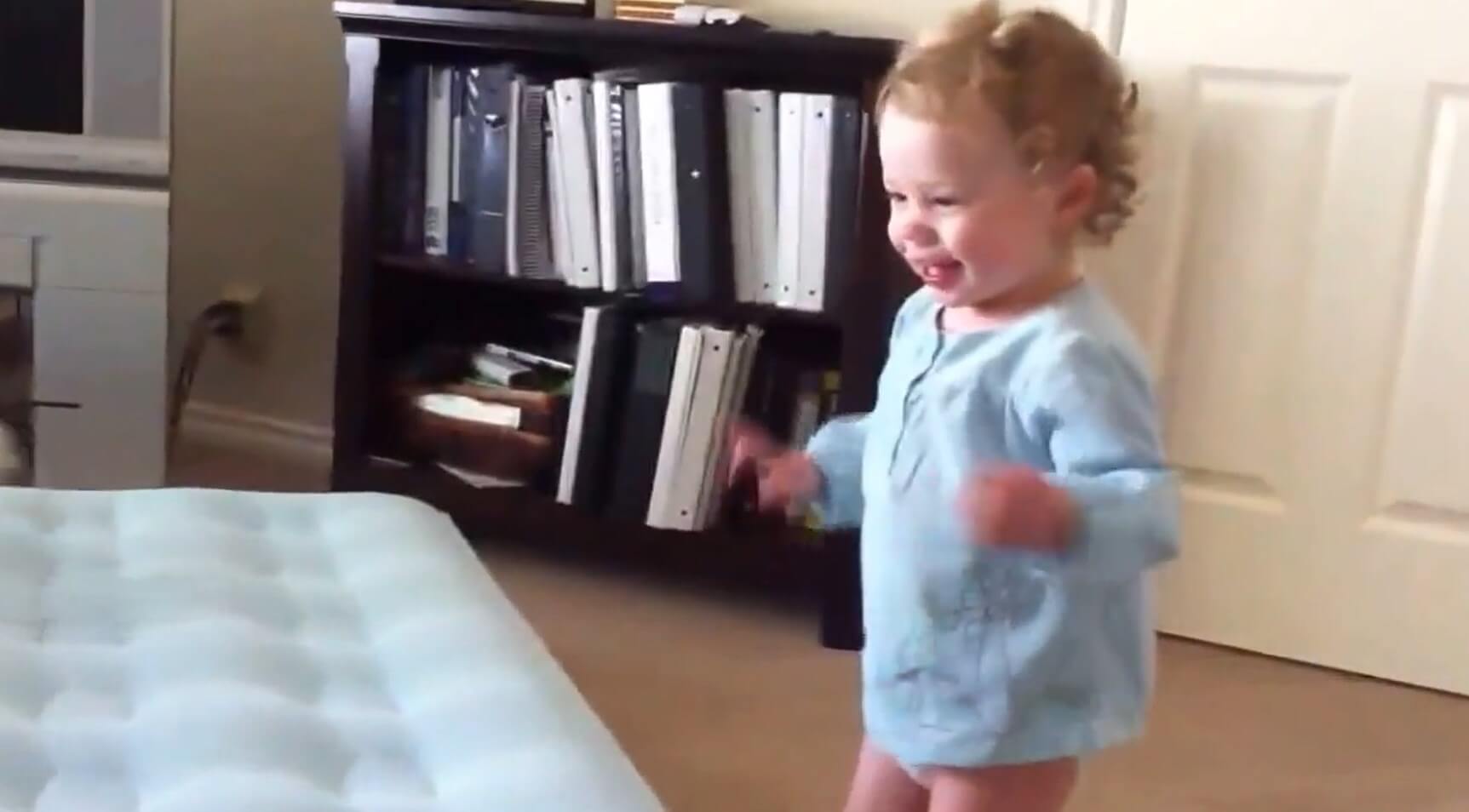 ゴールデンレトリーバー,動画