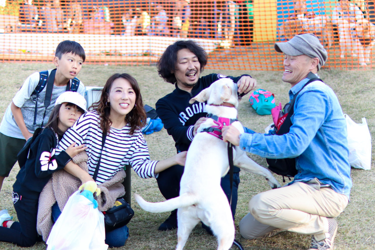 ラブラドールレトリーバー