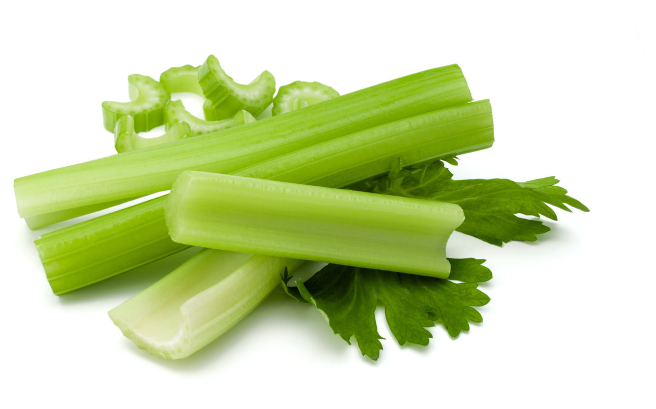 レトリーバー,食事