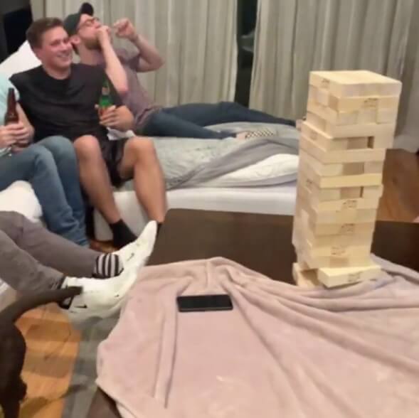 ラブラドールレトリーバー,動画