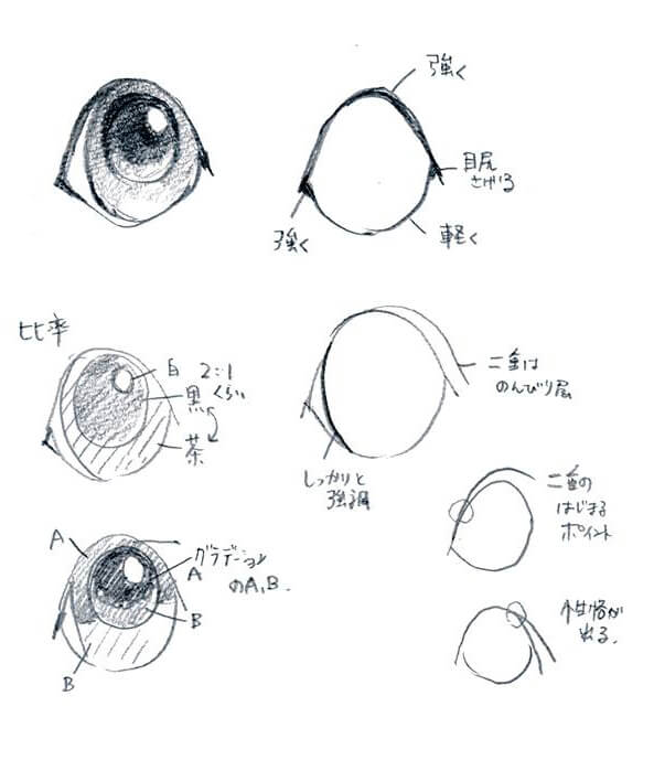 レトリーバー,絵画教室