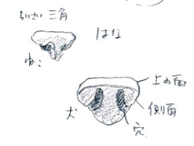 レトリーバー,絵画教室