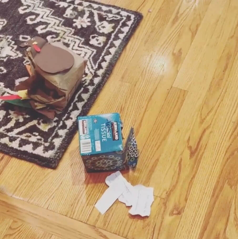 ラブラドールレトリーバー,動画