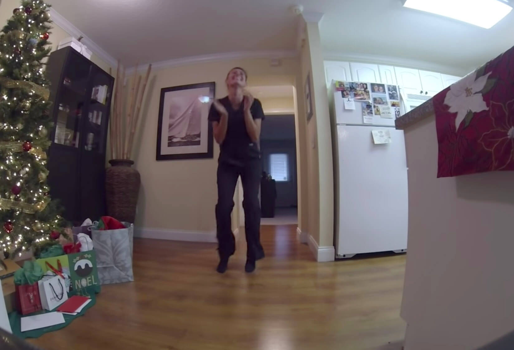 ゴールデンレトリーバー,動画