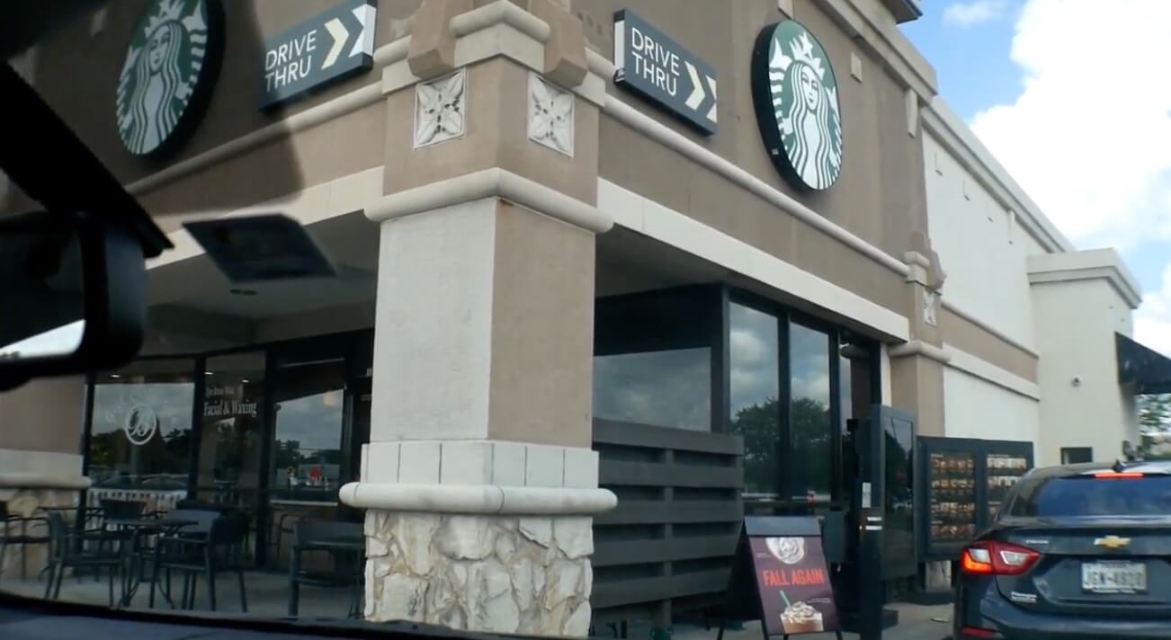 ラブラドールレトリーバー,動画