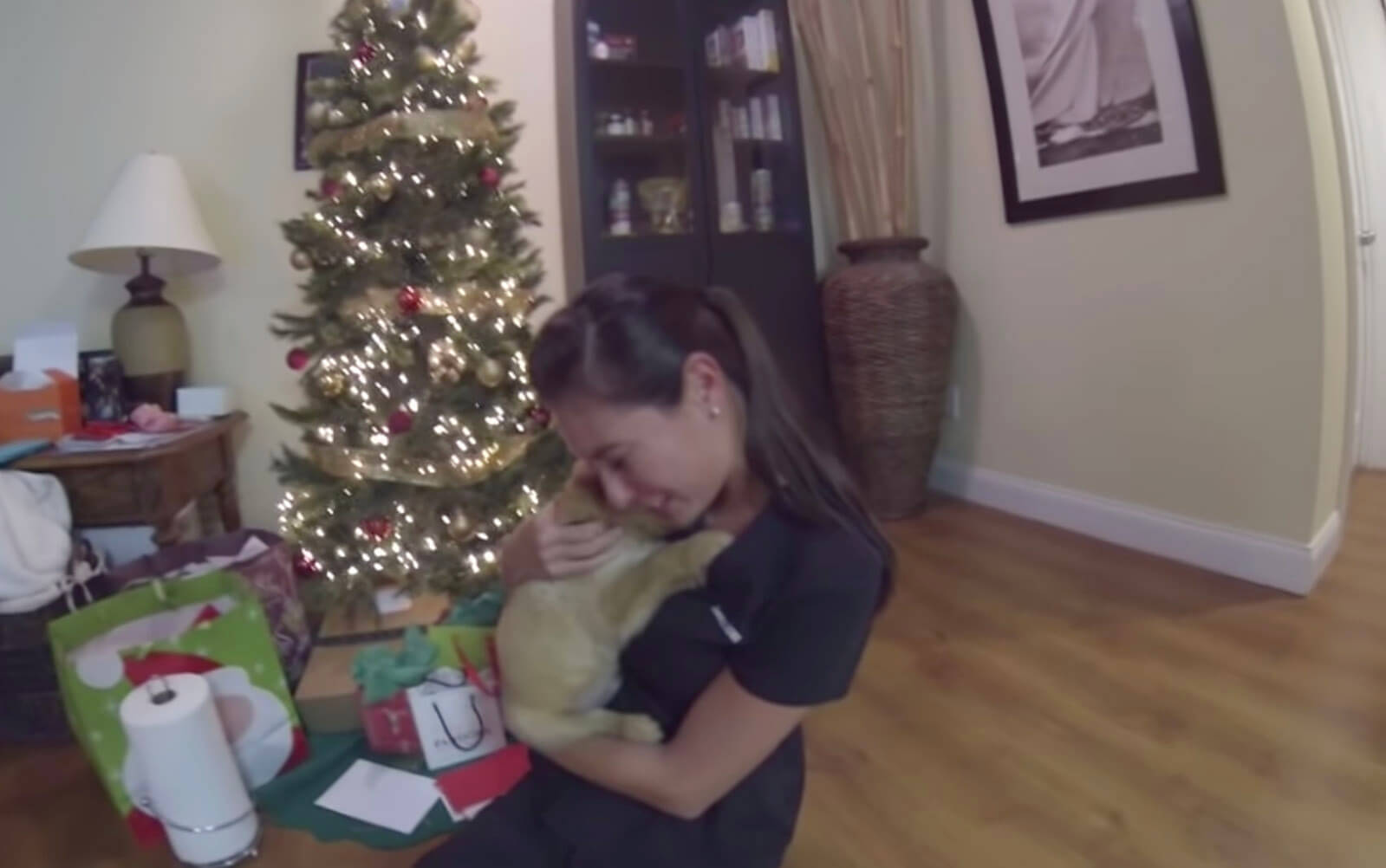 ゴールデンレトリーバー,動画