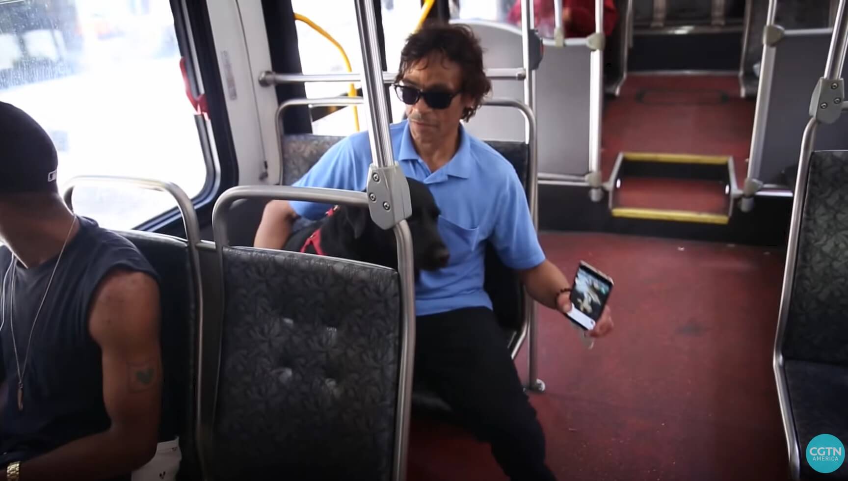 ラブラドールレトリーバー,動画