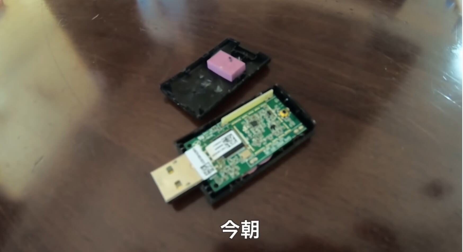 ラブラドールレトリーバー,動画