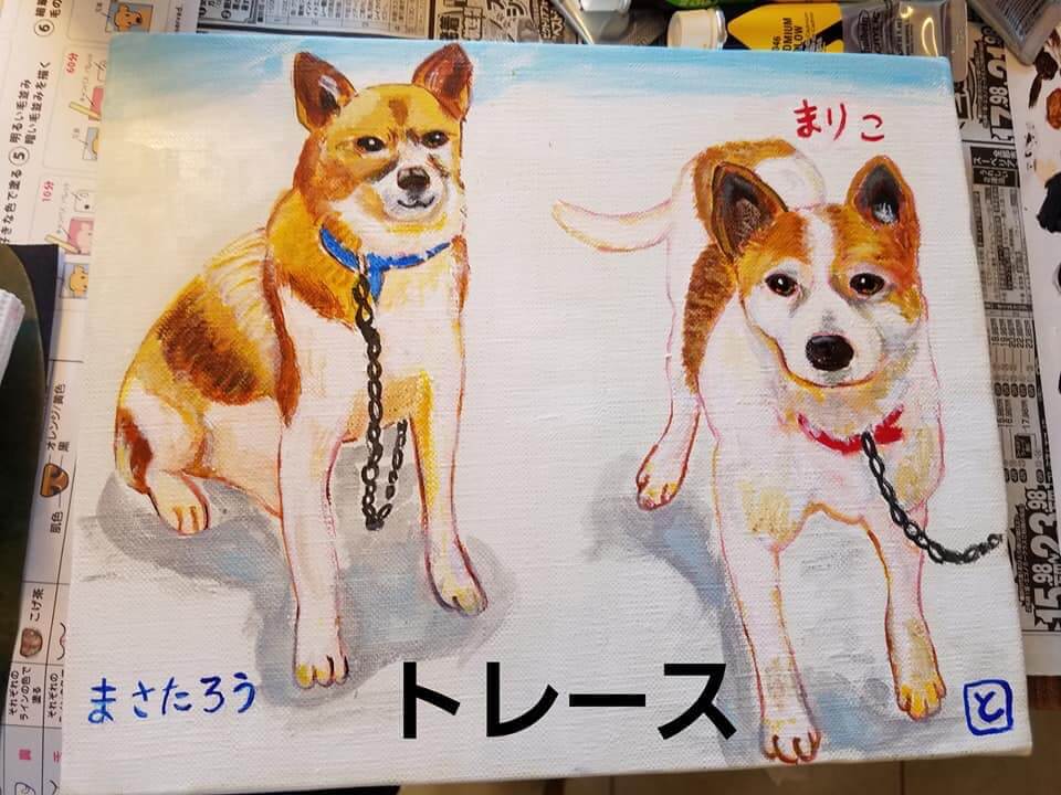 レトリーバー,絵画教室