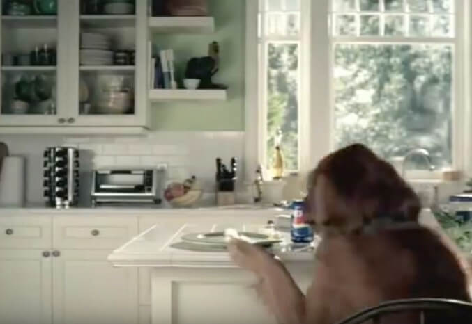 ゴールデンレトリーバー,動画