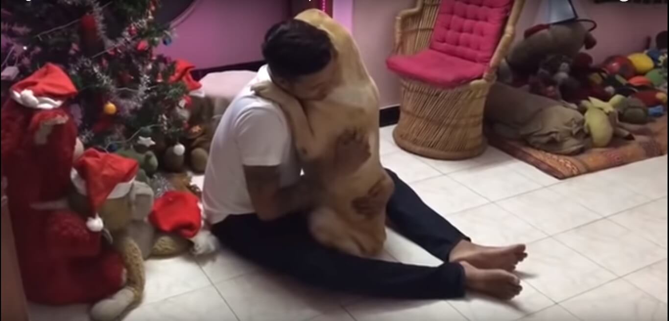 ゴールデンレトリーバー,動画