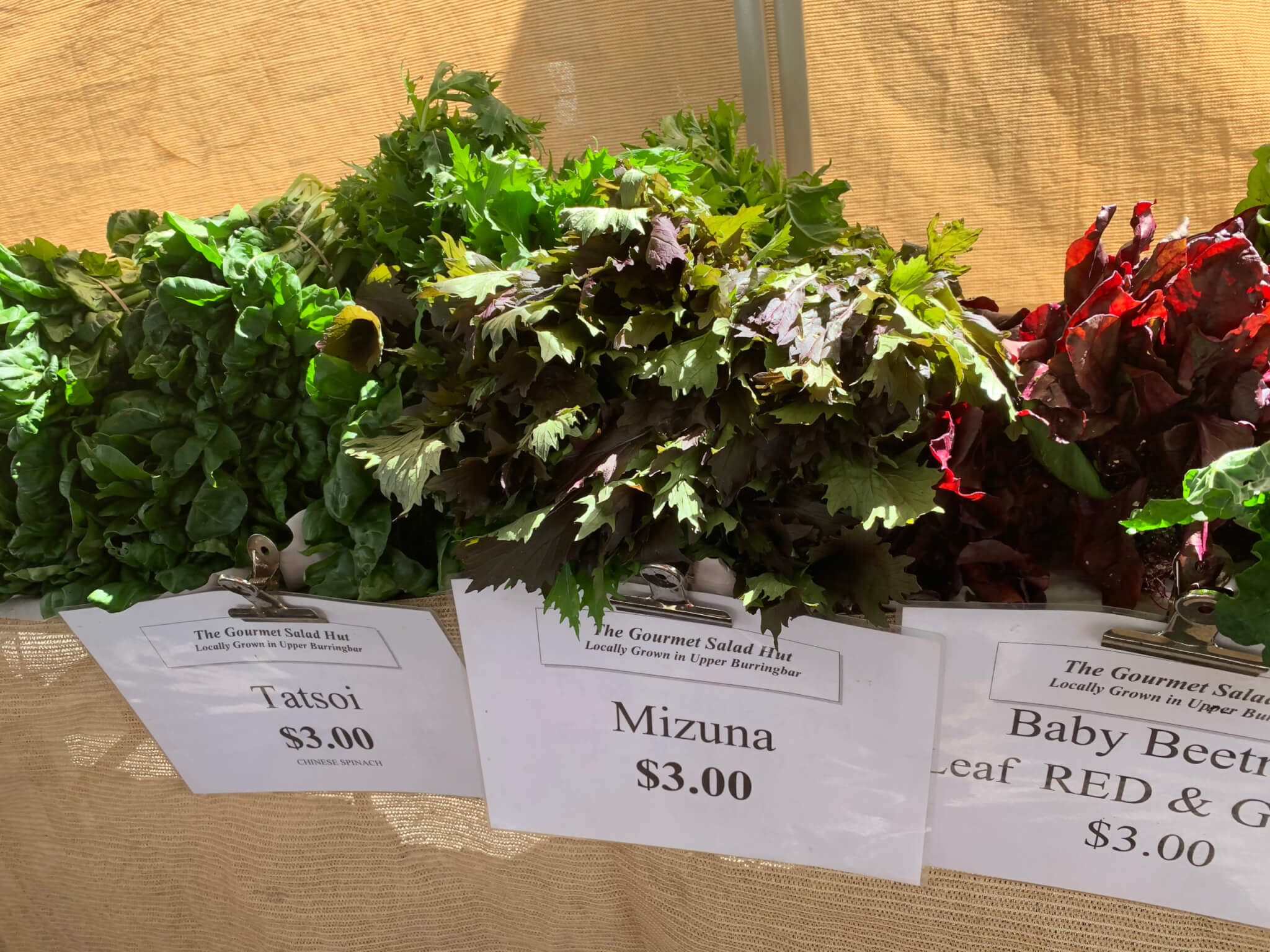 レトリーバー,ごはん