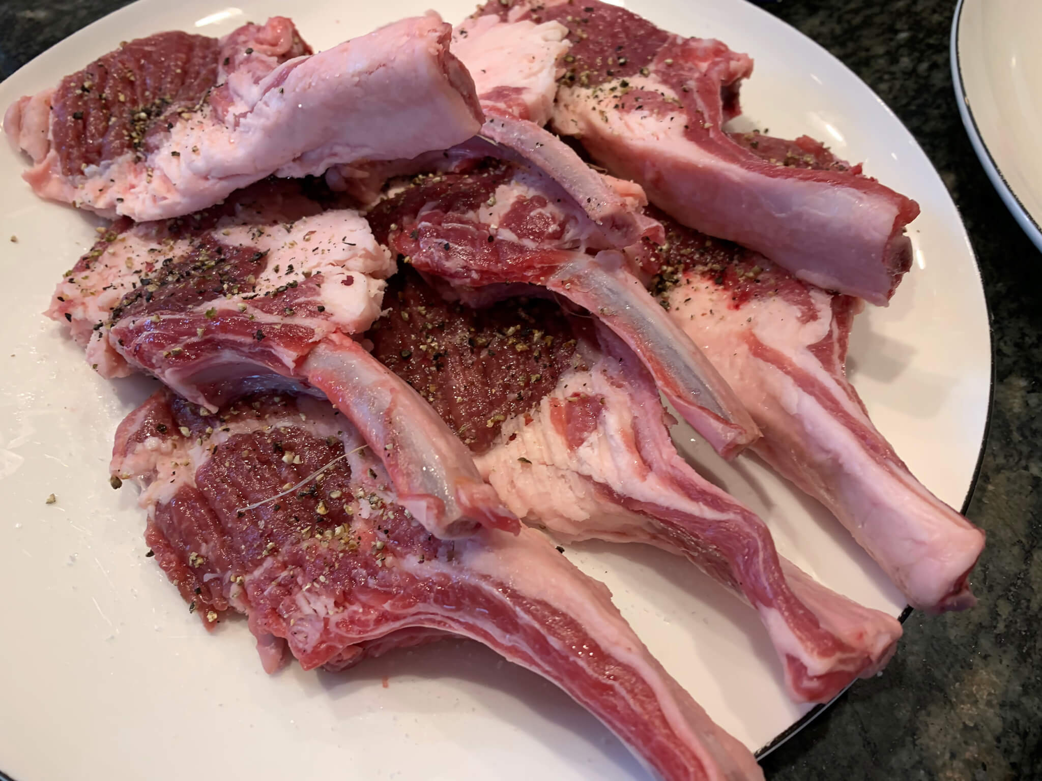 レトリーバー,ごはん