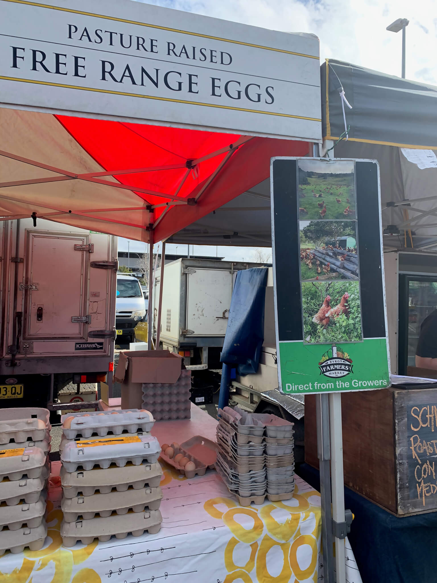 レトリーバー,ごはん