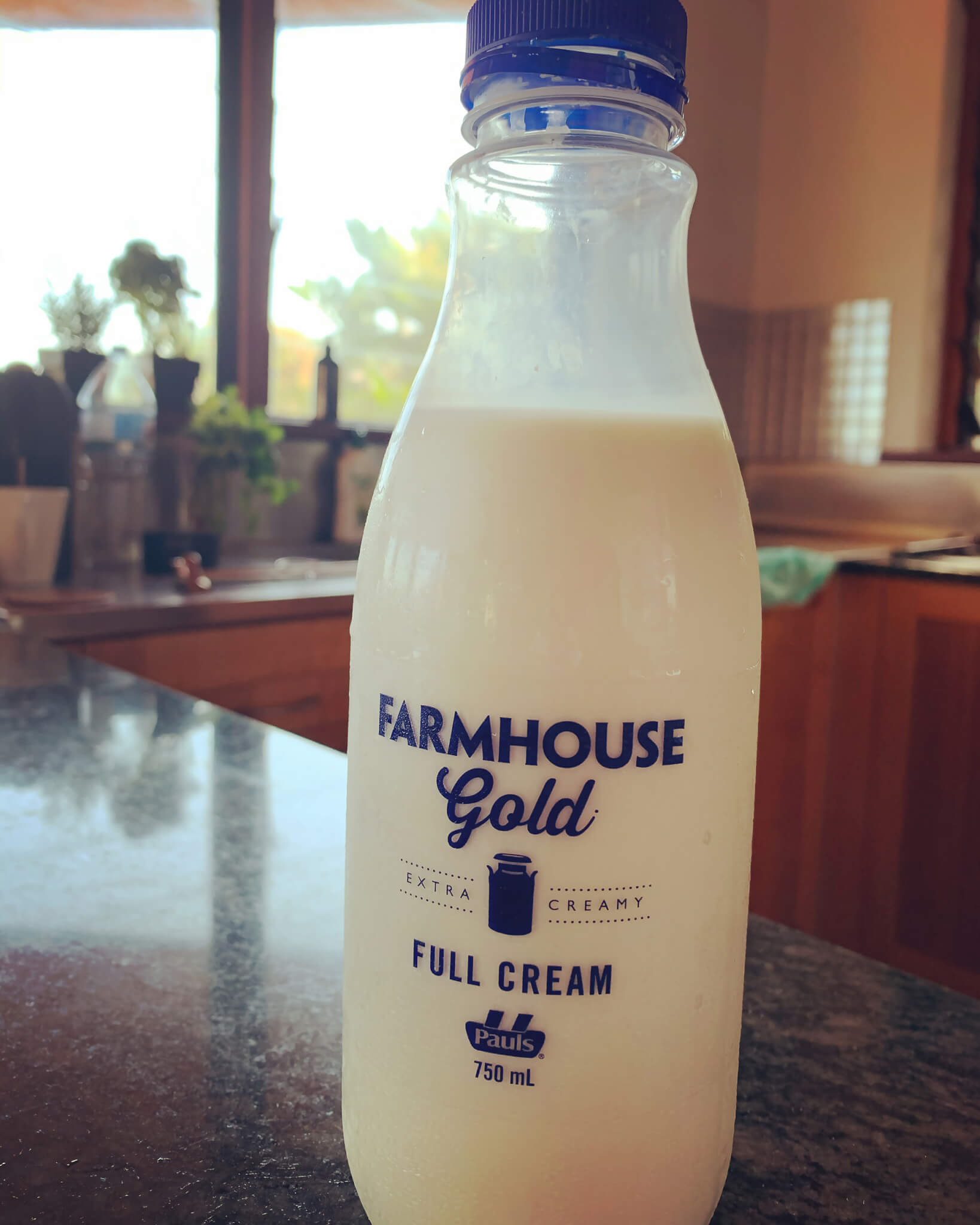 レトリーバー,ごはん