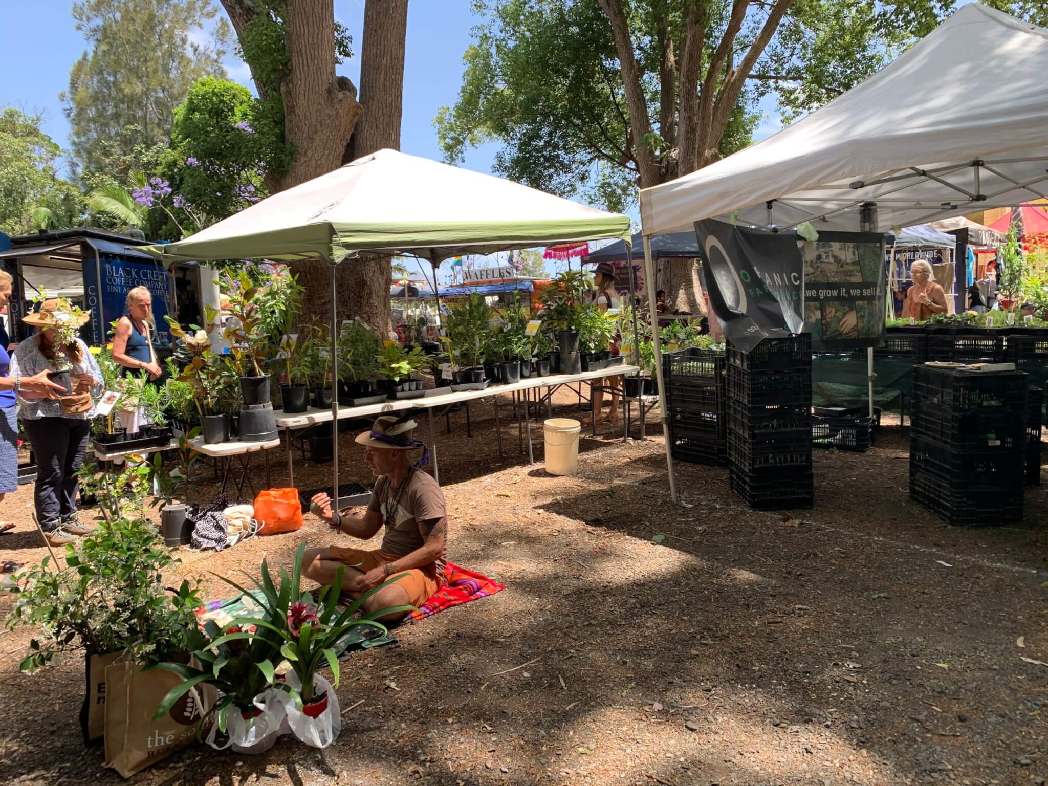 レトリーバー,ごはん