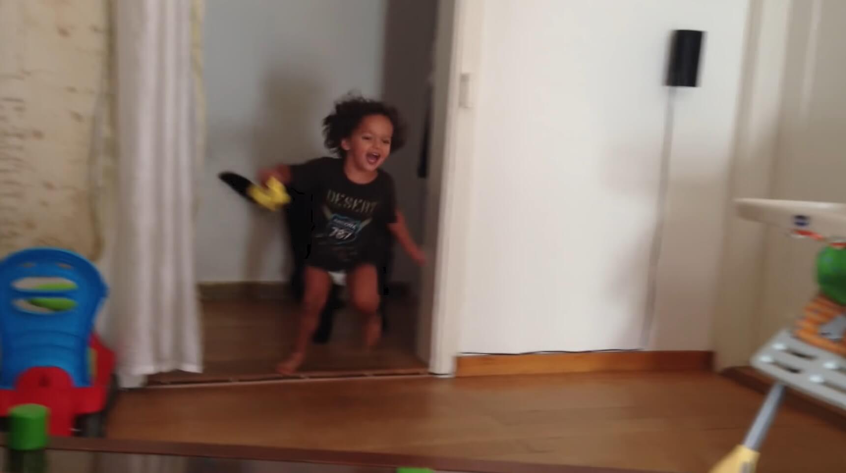 ラブラドールレトリーバー,動画