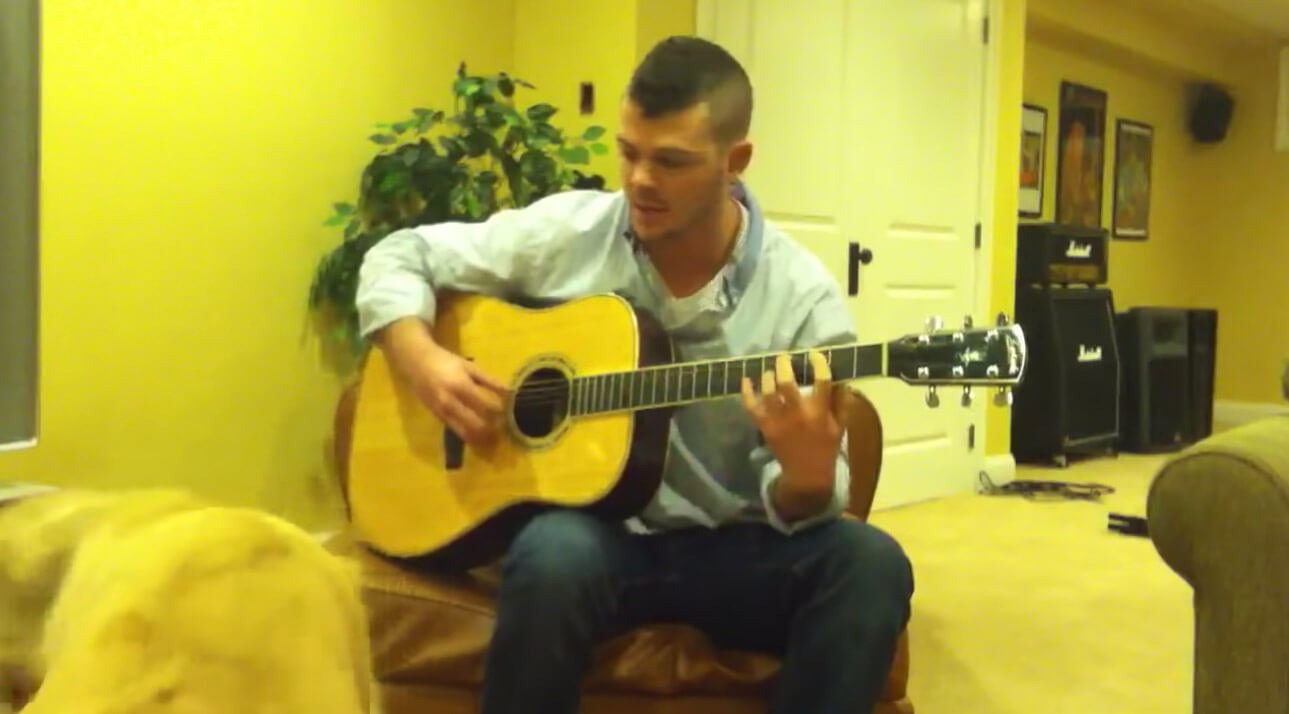 ゴールデンレトリーバー,動画