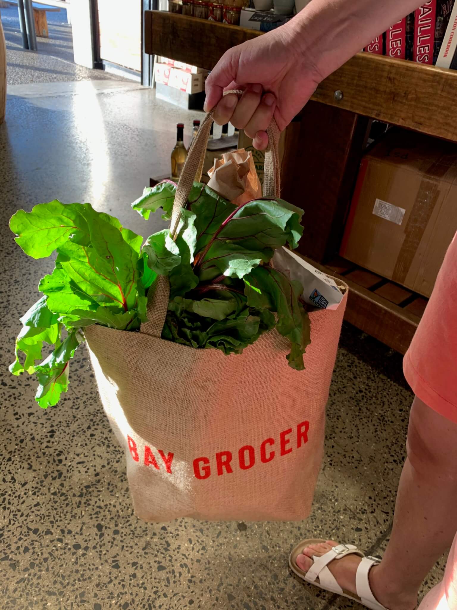 レトリーバー,ごはん