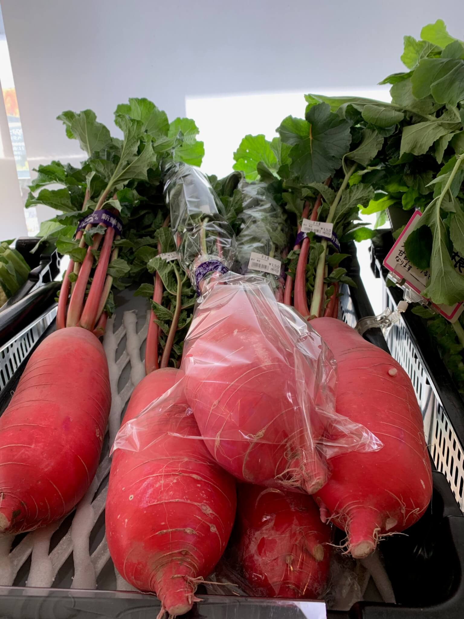 レトリーバー,ごはん