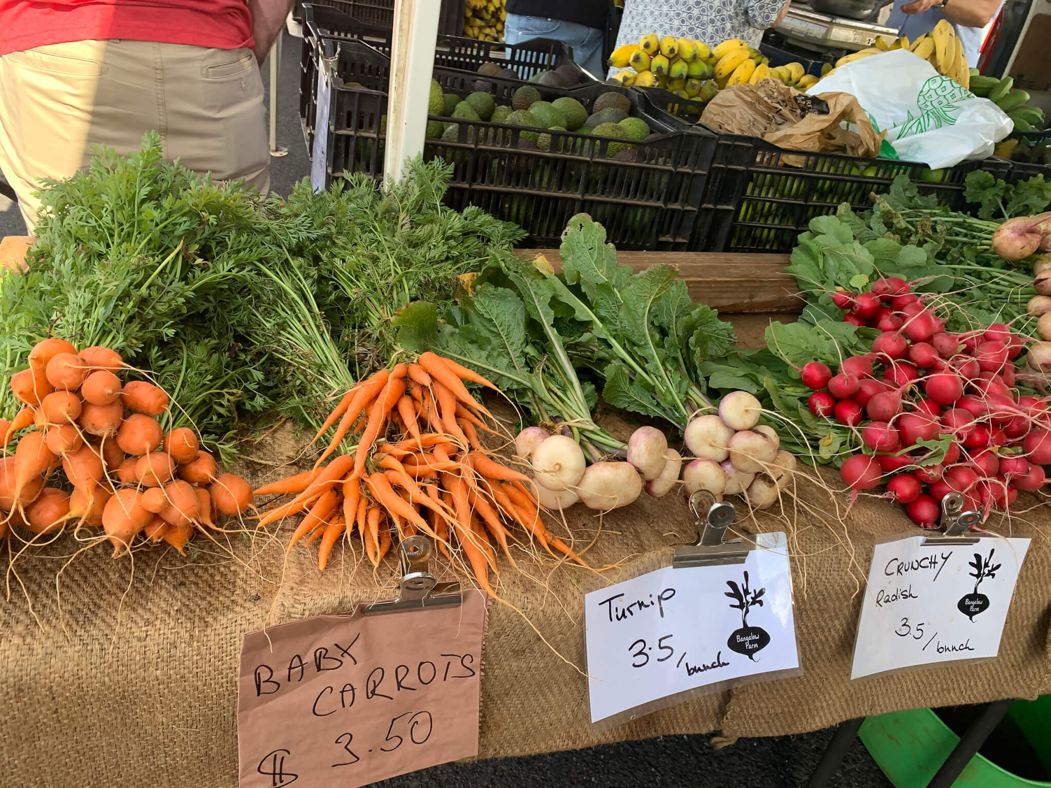 レトリーバー,ごはん