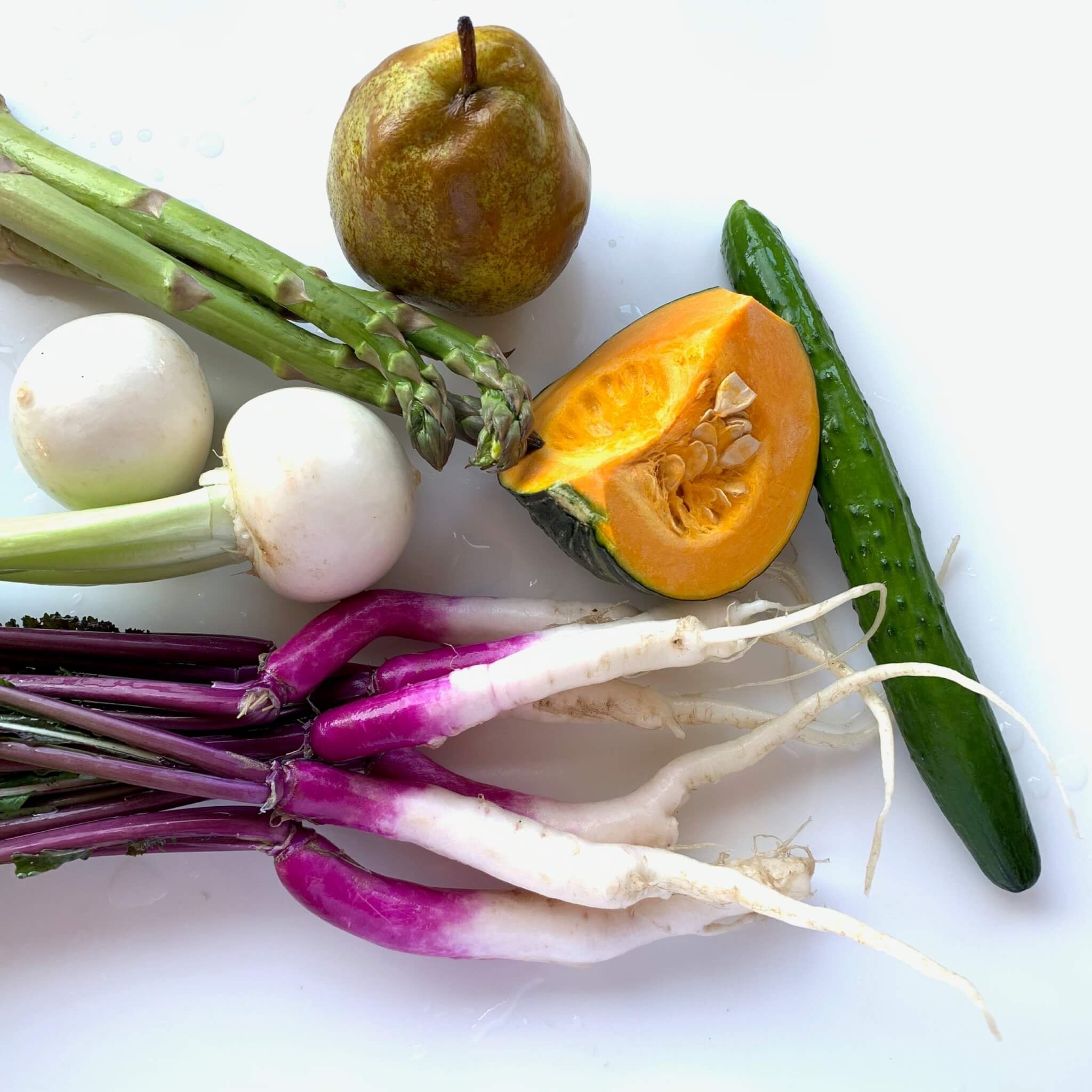 レトリーバー,ごはん