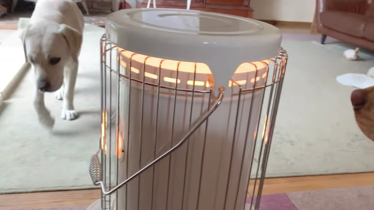 ラブラドールレトリーバー,動画