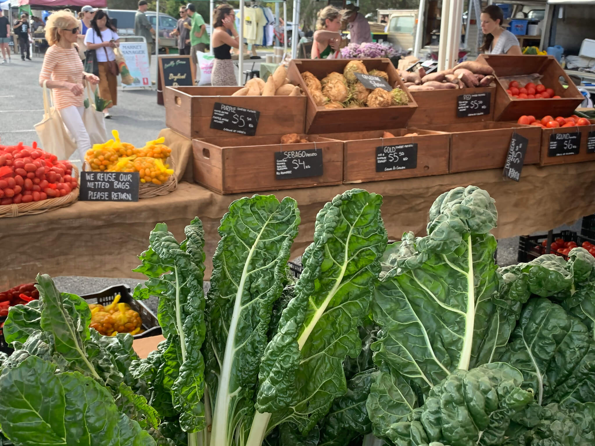 レトリーバー,ごはん