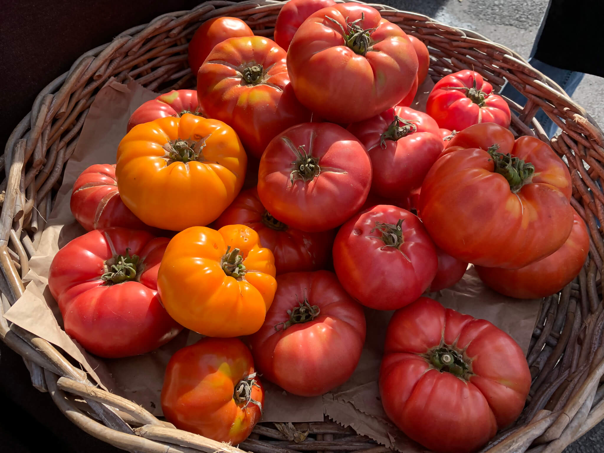 レトリーバー,ごはん