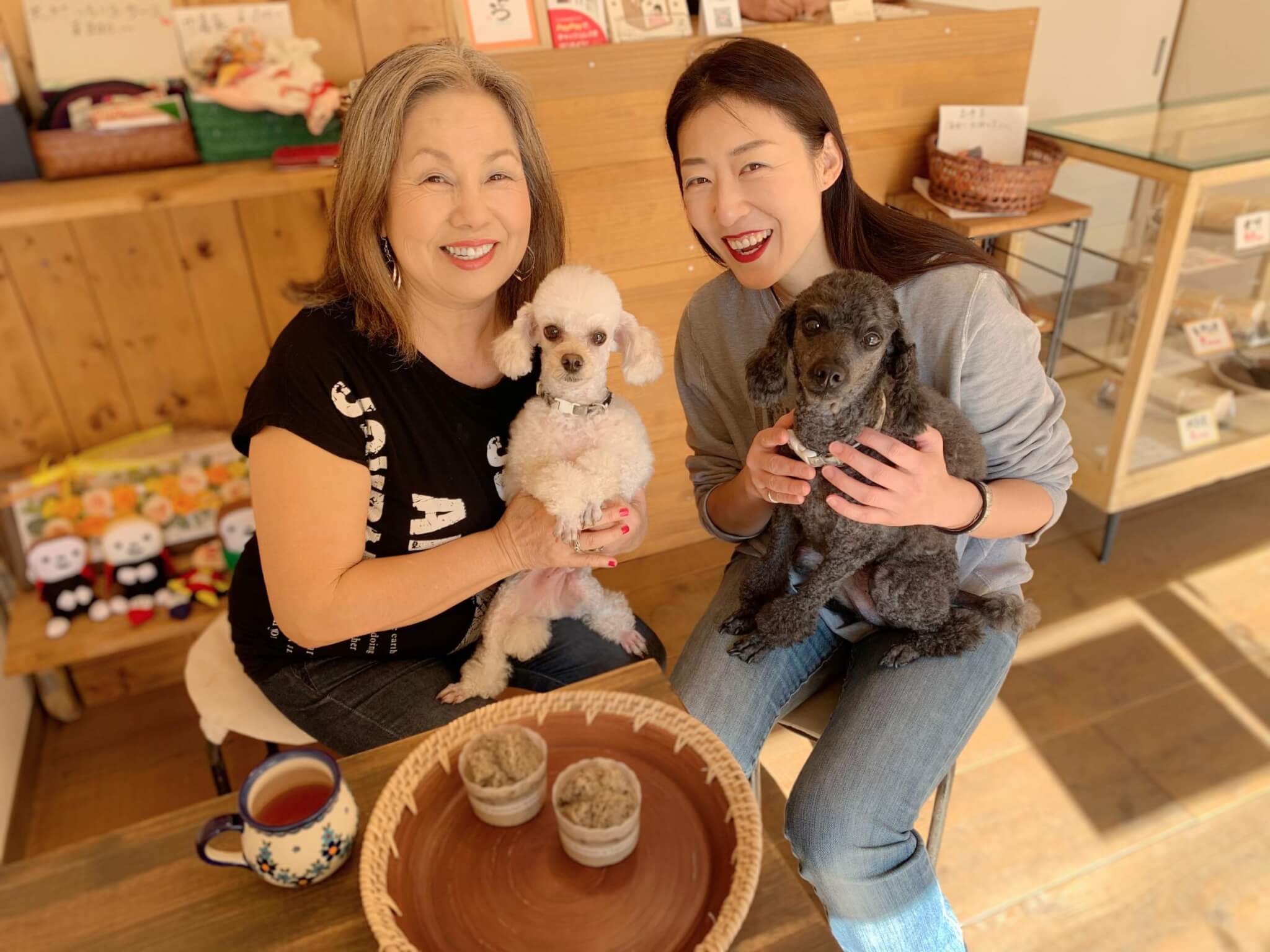 ラブラドールレトリーバー,宝塚