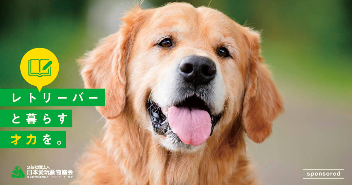 日本はナゼ犬に優しくない？犬との暮らしをもう一度考える「愛玩動物