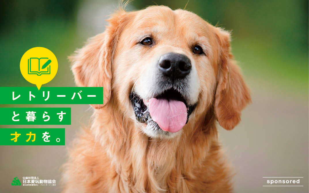 レトリーバー,愛玩動物管理