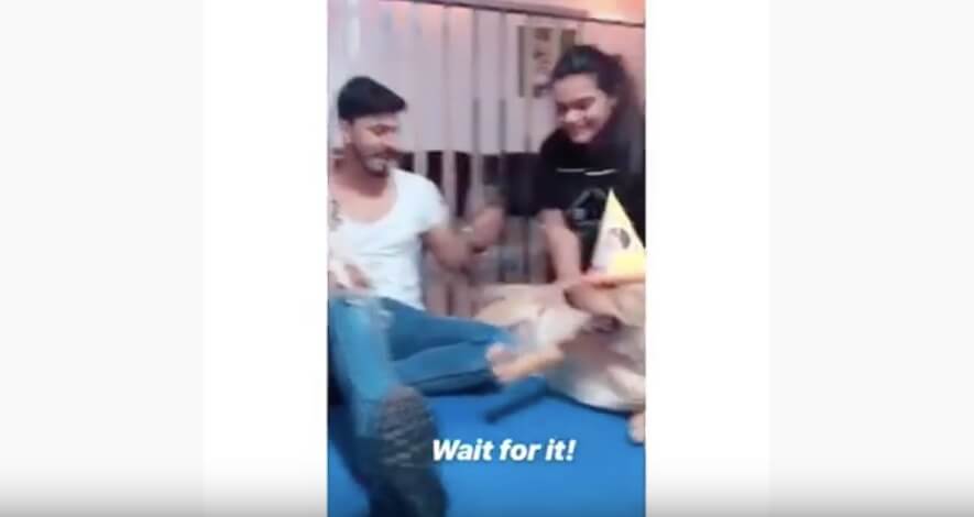 ゴールデンレトリーバー,動画