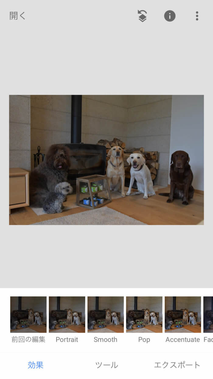 レトリーバー,画像編集