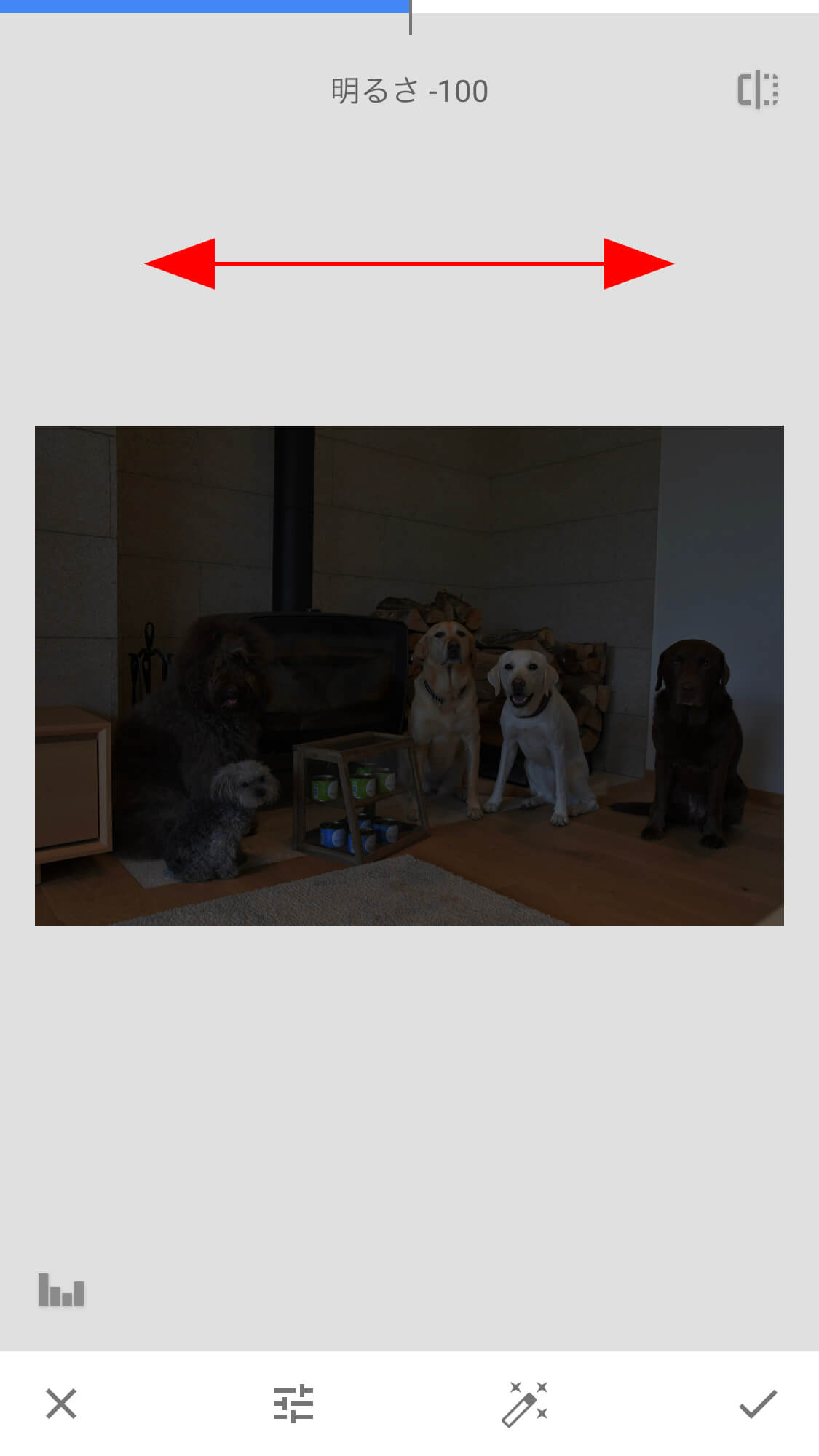 レトリーバー,画像編集