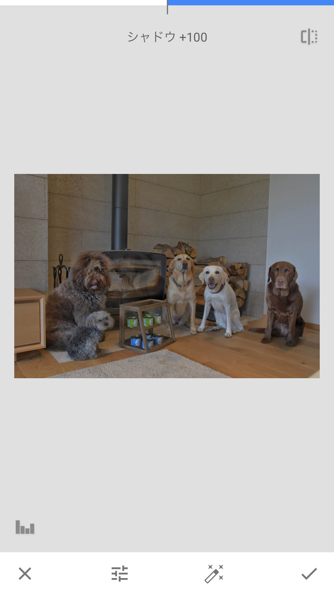 レトリーバー,画像編集