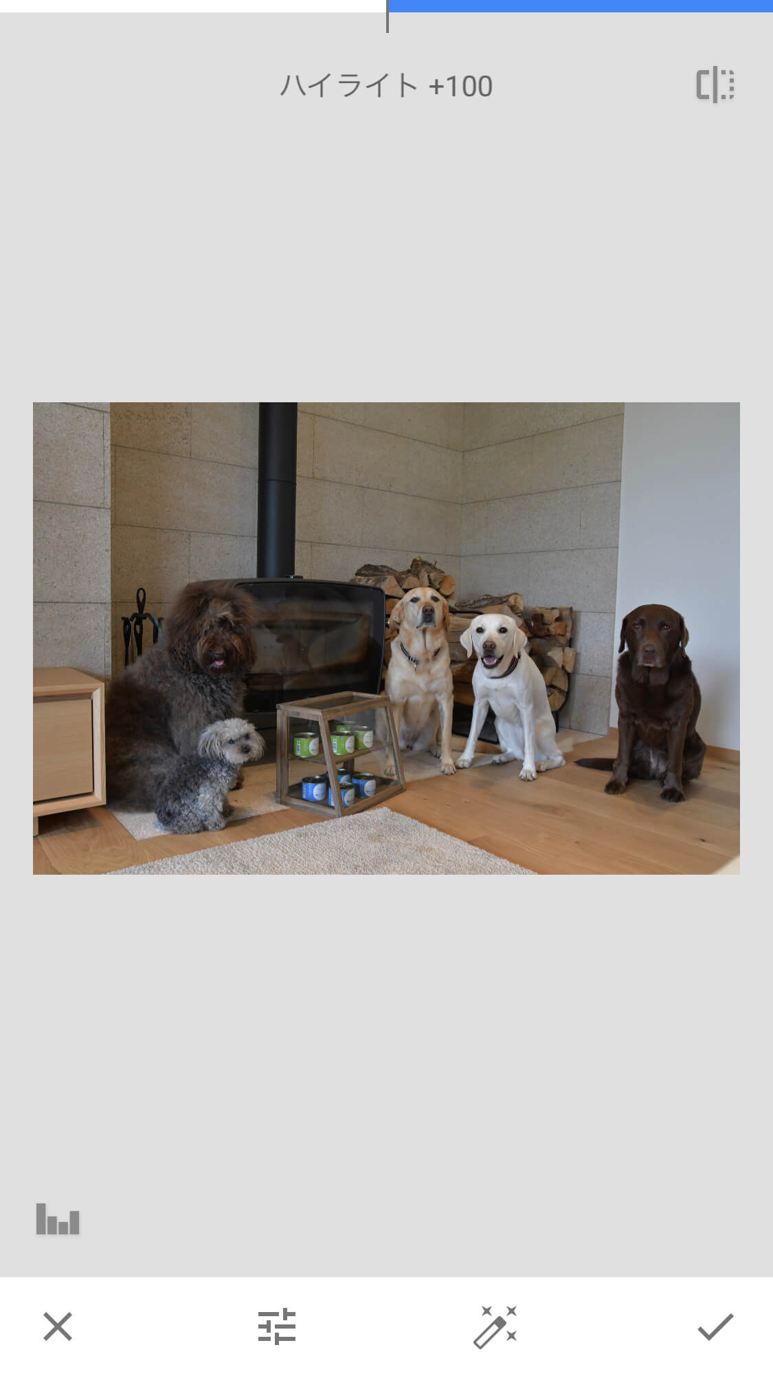 レトリーバー,画像編集