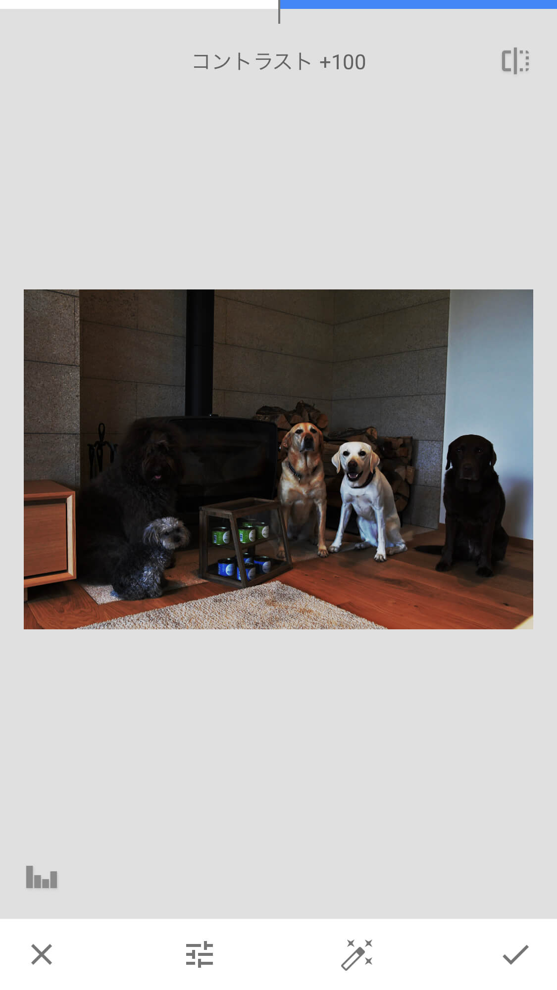 レトリーバー,画像編集