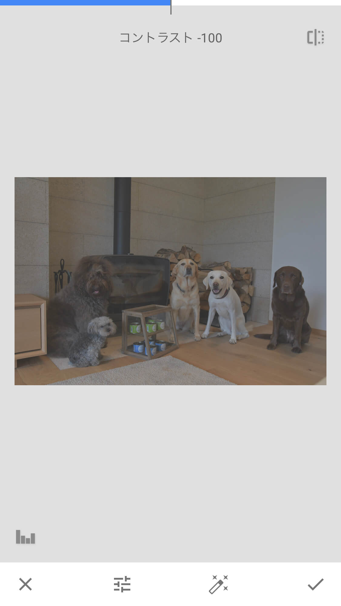 レトリーバー,画像編集