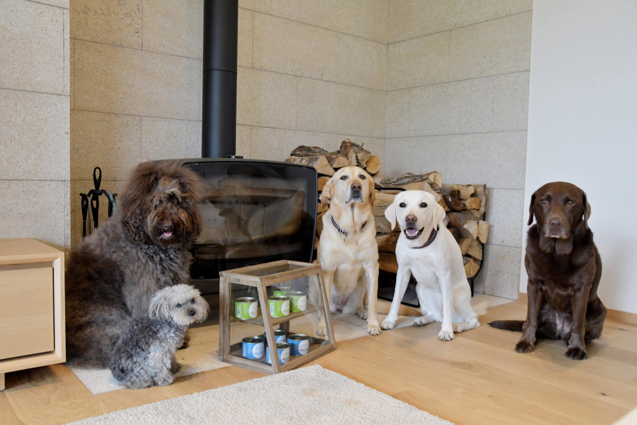 レトリーバー,画像編集