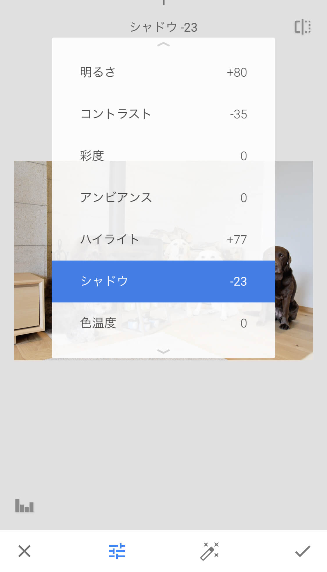 レトリーバー,画像編集